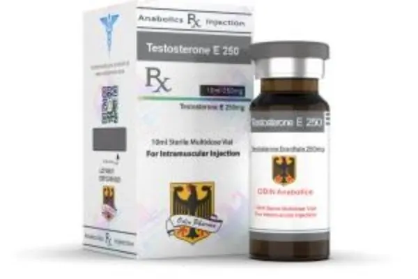 Buy Odin Pharma Testosterone E 250 Cycle