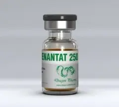 Dragon Pharma Enantat 250 Lab Results