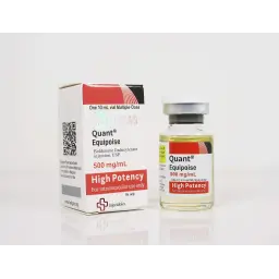 Quant Equipoise 500
