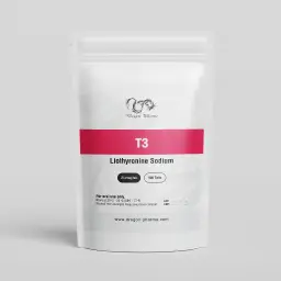 T3