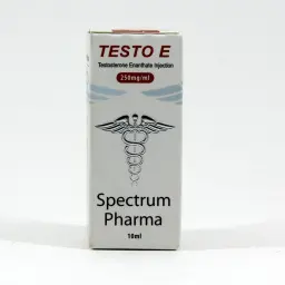 Testo E