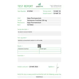 Testoxyl Enanthate 250